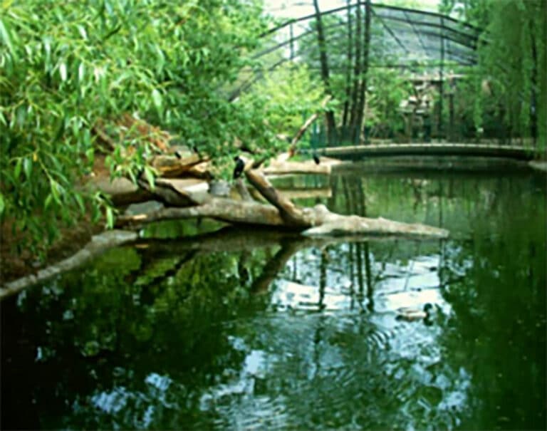 Teichanlagen Zoo Dresden 1992 1 3c